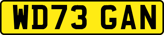 WD73GAN