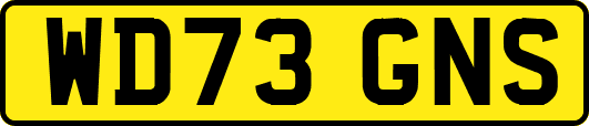 WD73GNS