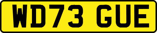 WD73GUE