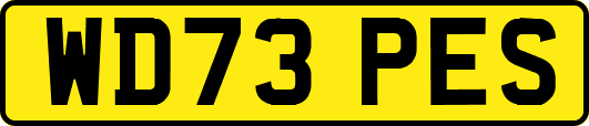 WD73PES
