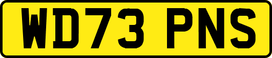 WD73PNS