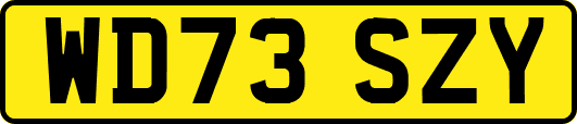 WD73SZY
