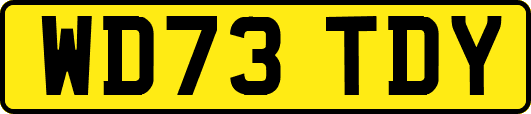 WD73TDY