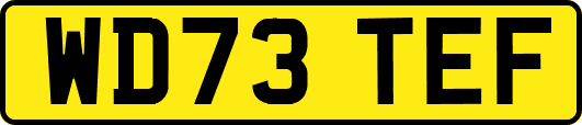 WD73TEF