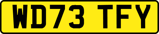 WD73TFY