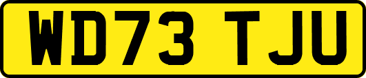 WD73TJU