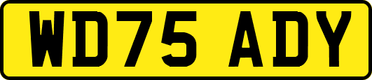 WD75ADY