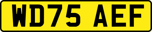 WD75AEF