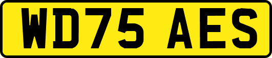 WD75AES