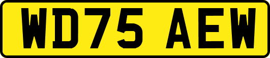 WD75AEW