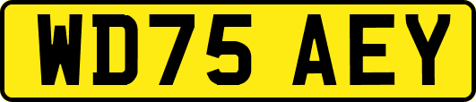 WD75AEY