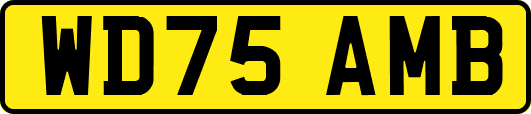 WD75AMB