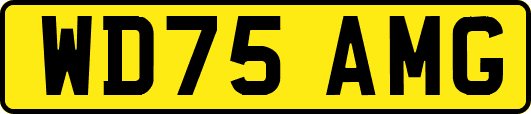 WD75AMG