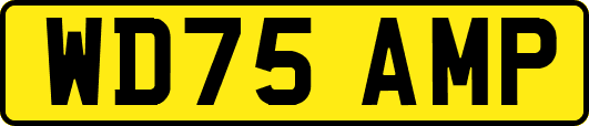 WD75AMP