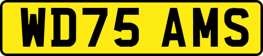 WD75AMS
