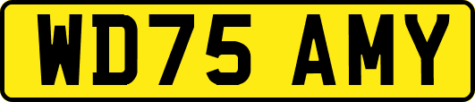 WD75AMY