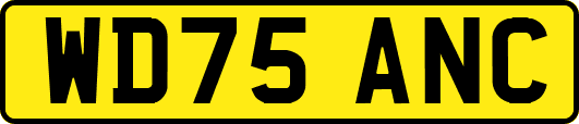 WD75ANC