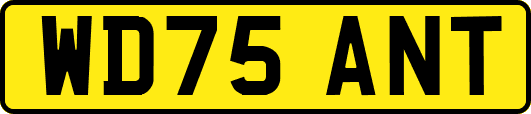 WD75ANT