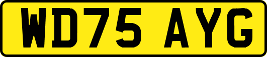 WD75AYG