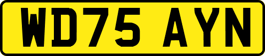 WD75AYN