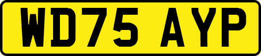 WD75AYP