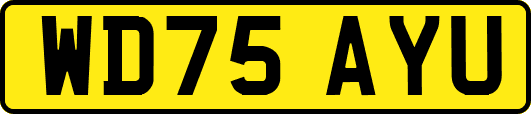 WD75AYU