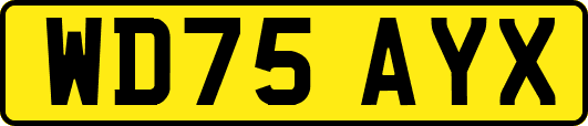 WD75AYX