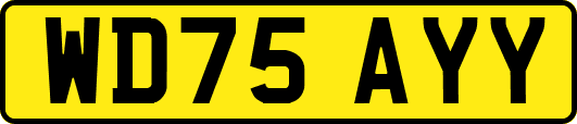 WD75AYY