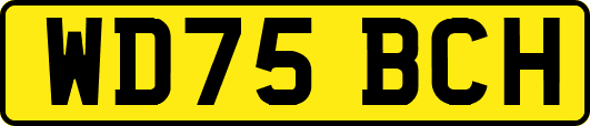 WD75BCH