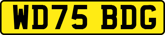 WD75BDG