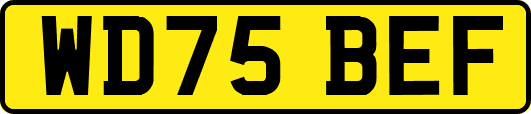 WD75BEF
