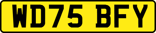 WD75BFY