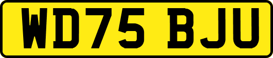 WD75BJU