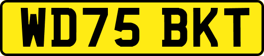 WD75BKT