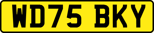 WD75BKY