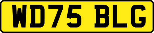 WD75BLG