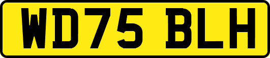 WD75BLH