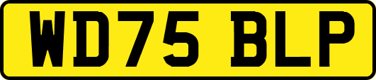 WD75BLP