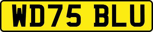 WD75BLU