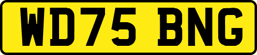 WD75BNG