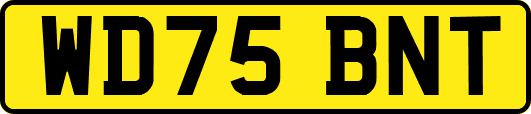 WD75BNT