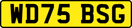 WD75BSG