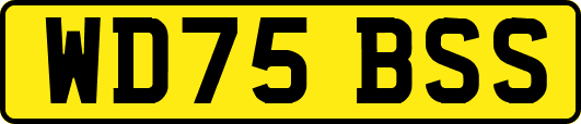 WD75BSS