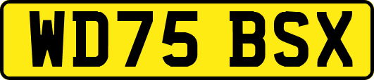 WD75BSX