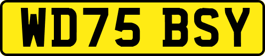 WD75BSY