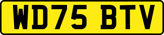 WD75BTV
