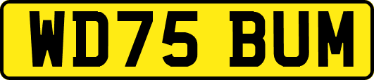 WD75BUM