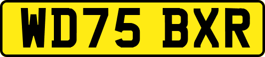 WD75BXR