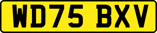 WD75BXV