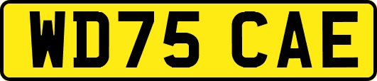 WD75CAE